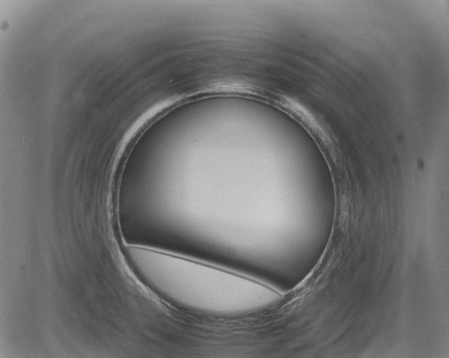 X0000085071331200703051048