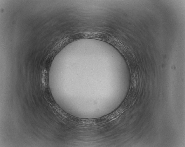 X0000085071346200703051048