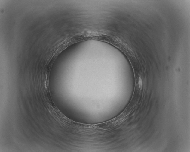 X0000085071348200703051048