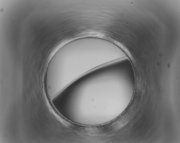 X0000085071383200703051047