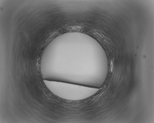 X0000085071395200703051046