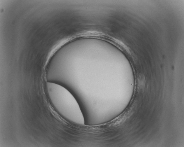 X0000085071413200703051046