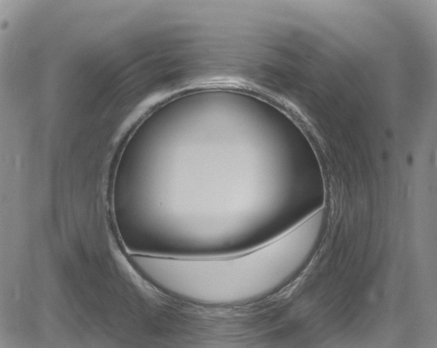 X0000085071422200703051047