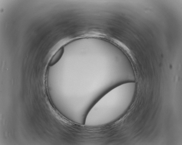 X0000085071423200703051047