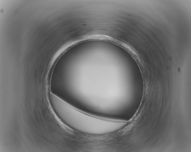 X0000085071430200703051047
