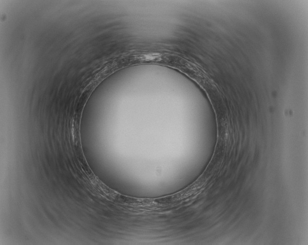 X0000085071442200703051046
