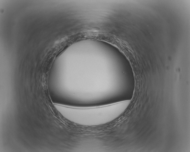 X0000085071445200703051046