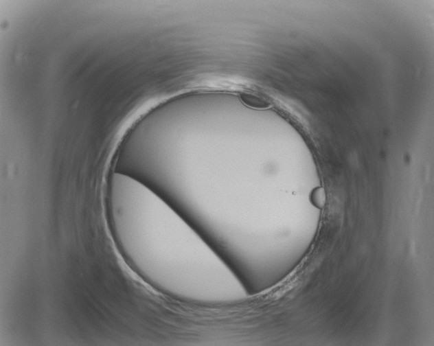 X0000085071471200703051046
