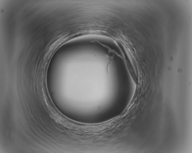 X0000085070001200703051420