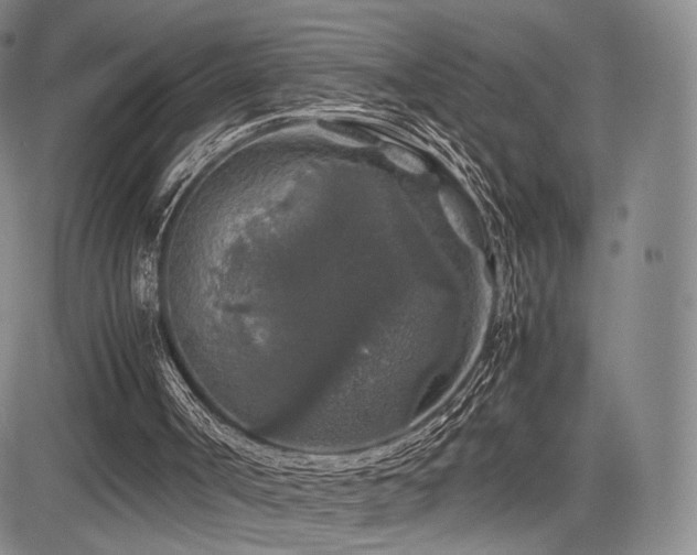 X0000085070002200703051420