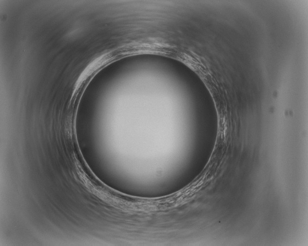 X0000085070004200703051419