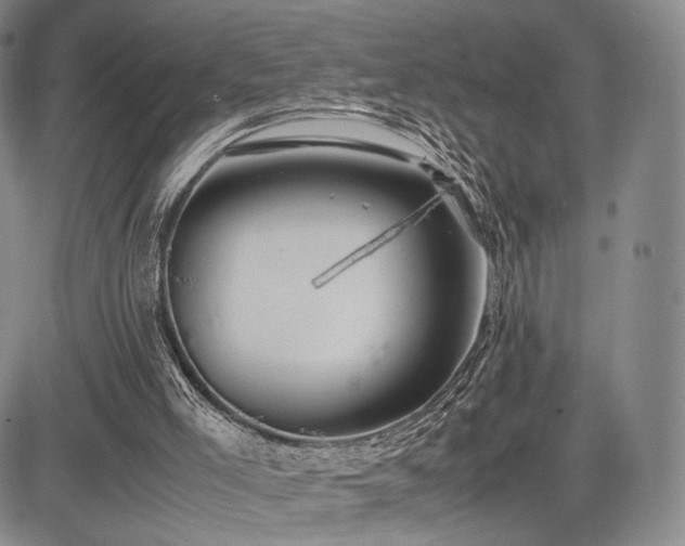 X0000085070005200703051419