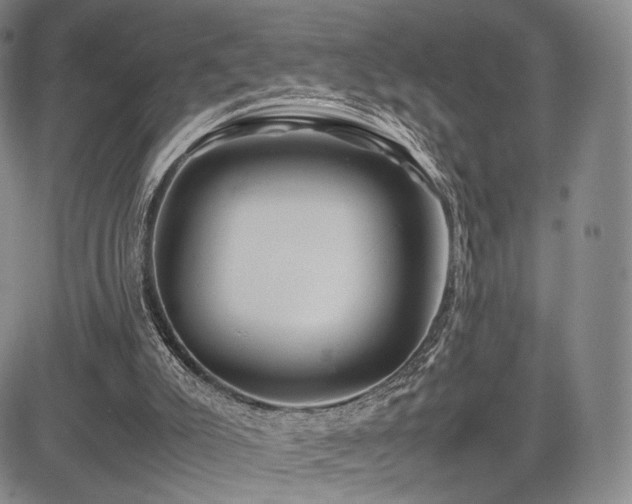 X0000085070007200703051419