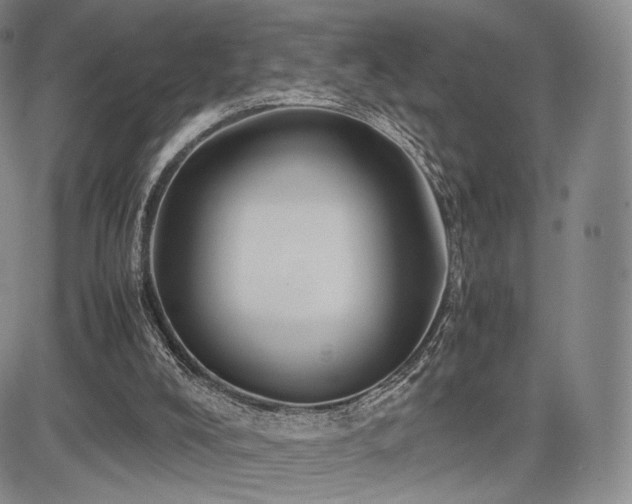 X0000085070008200703051419