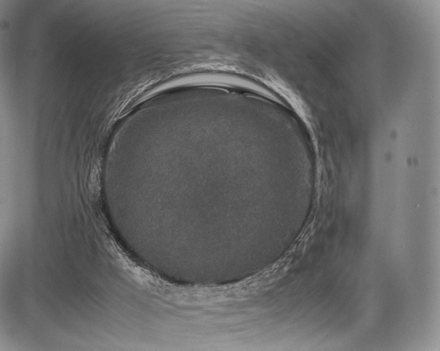 X0000085070009200703051419