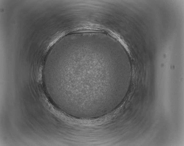 X0000085070010200703051419