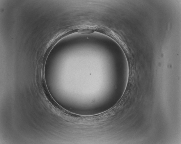 X0000085070011200703051419