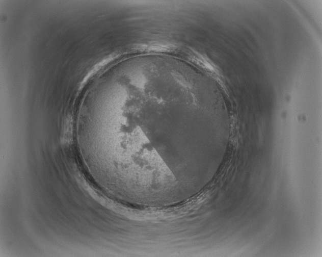 X0000085070012200703051419