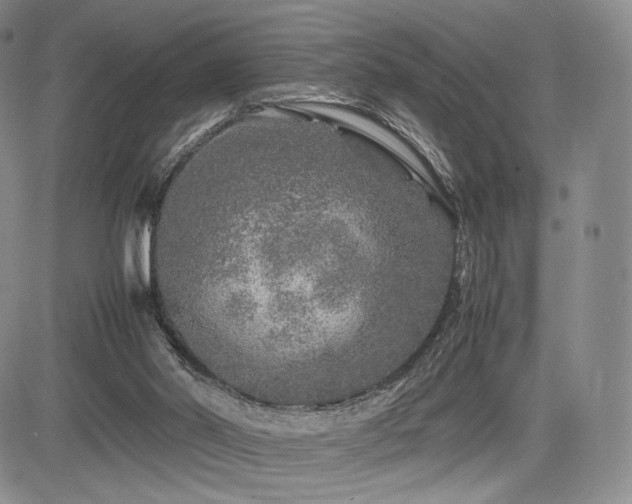 X0000085070014200703051419