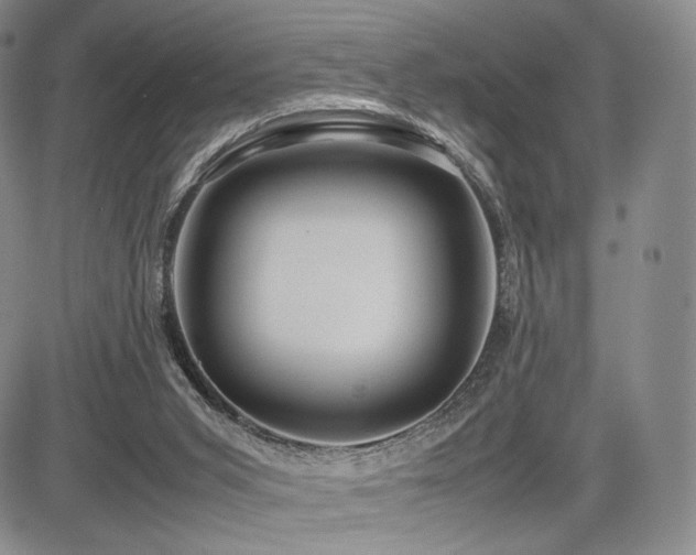 X0000085070015200703051419