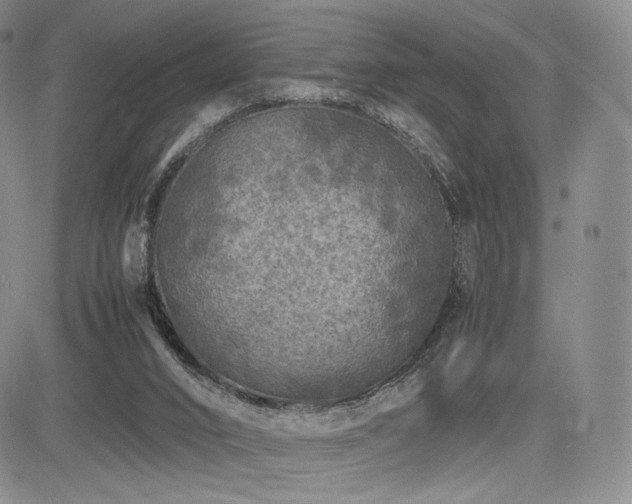 X0000085070016200703051419