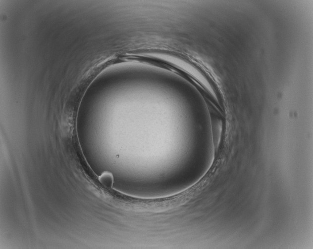 X0000085070017200703051419