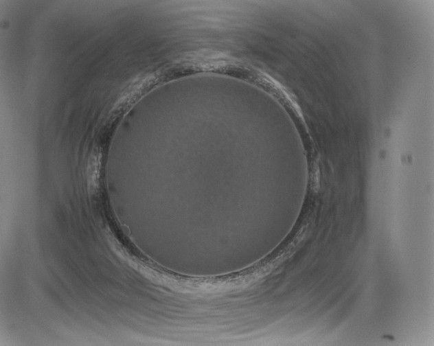 X0000085070018200703051419