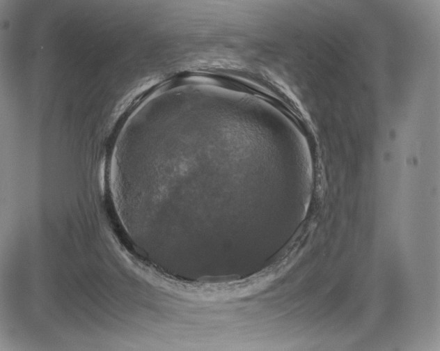 X0000085070019200703051419