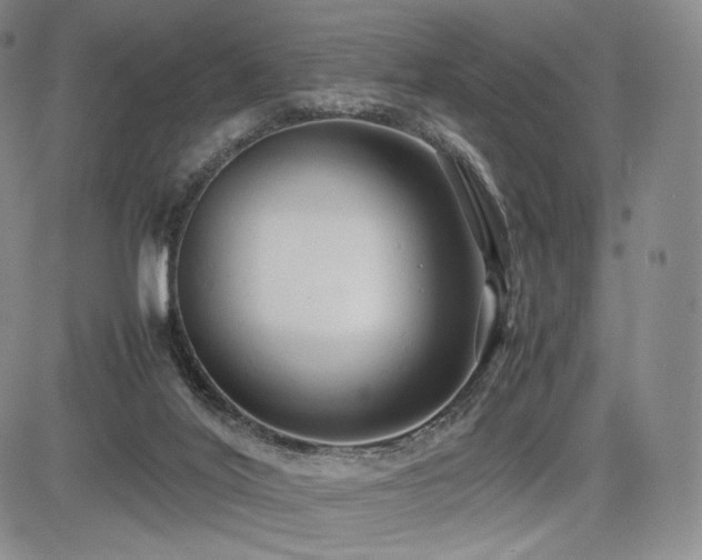 X0000085070020200703051419