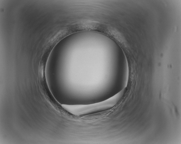 X0000085070021200703051419