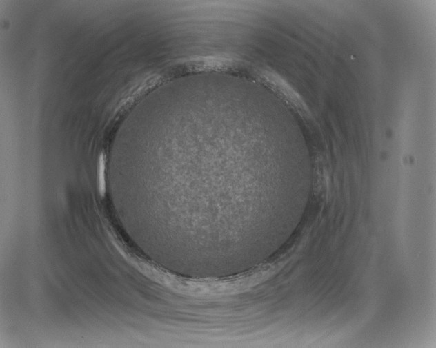 X0000085070022200703051419