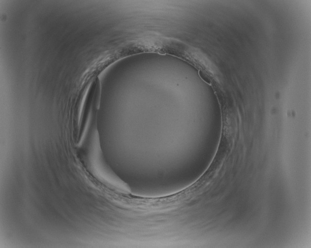 X0000085070023200703051419