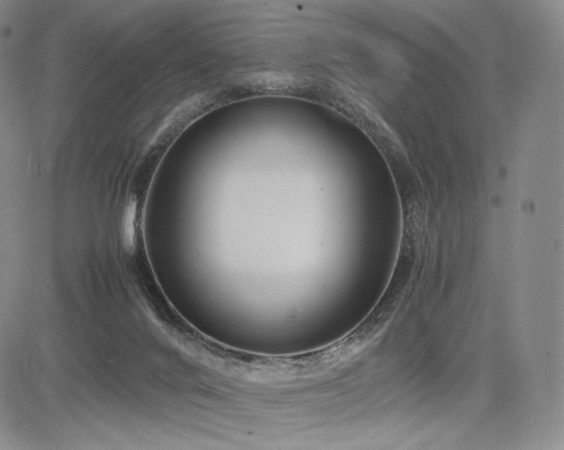 X0000085070024200703051419