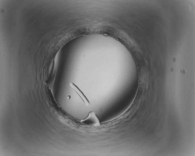 X0000085070025200703051419