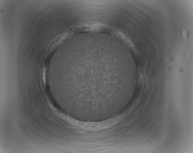 X0000085070026200703051419