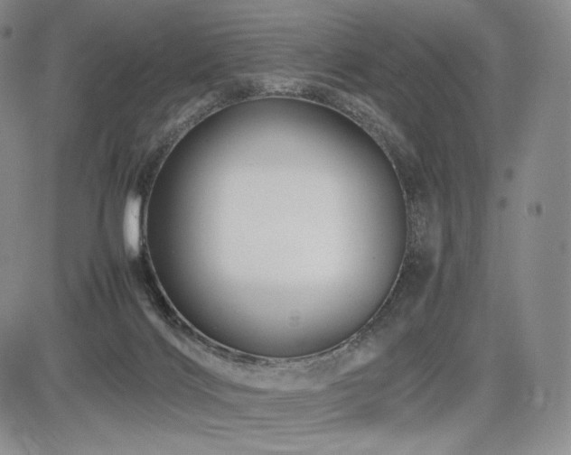 X0000085070028200703051419