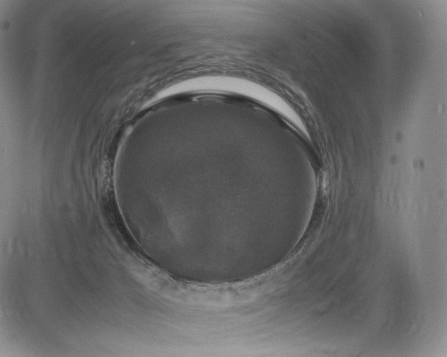 X0000085070029200703051419