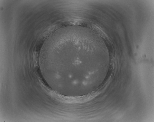 X0000085070030200703051419