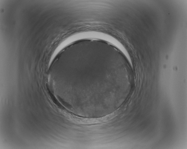 X0000085070031200703051419