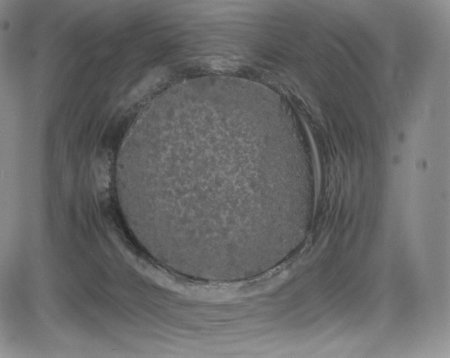 X0000085070032200703051419