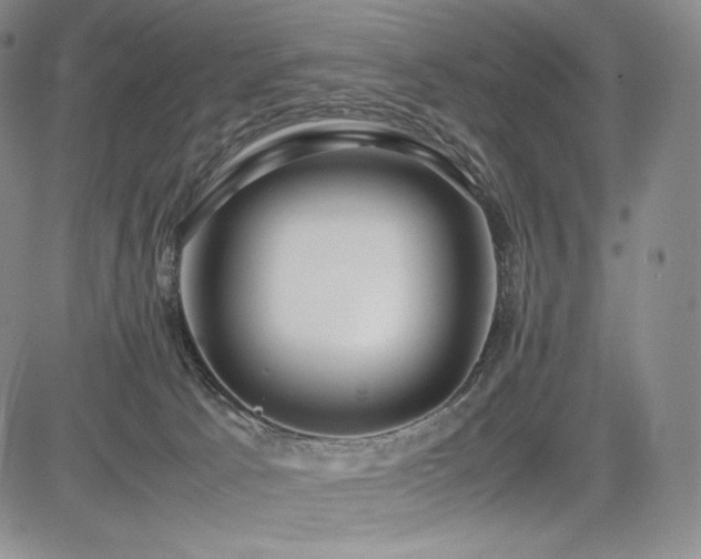 X0000085070033200703051419