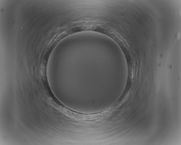 X0000085070035200703051419