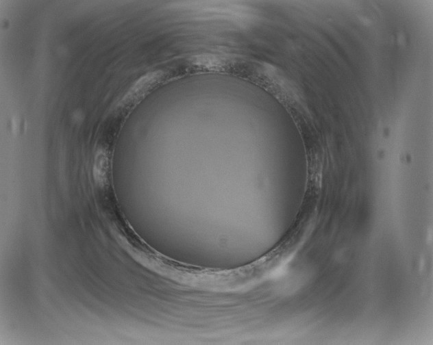 X0000085070036200703051419