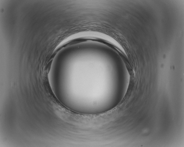 X0000085070037200703051419