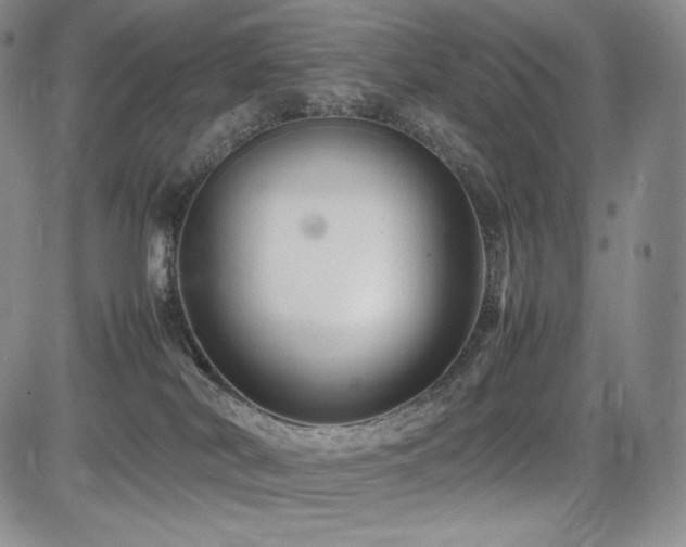 X0000085070038200703051419