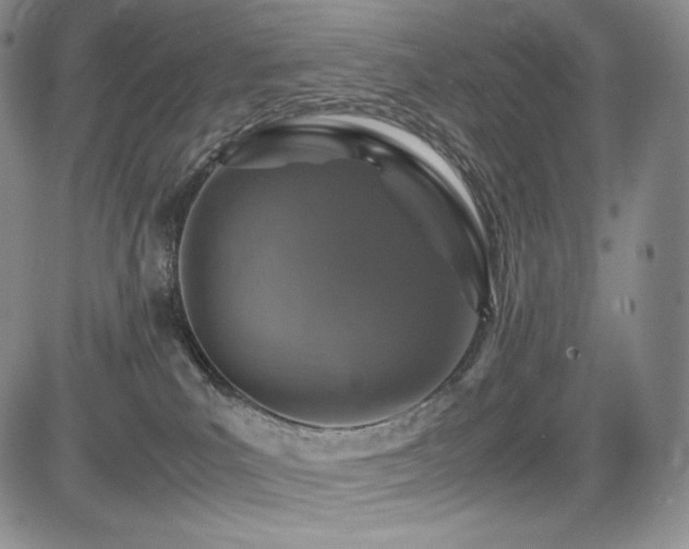 X0000085070039200703051419