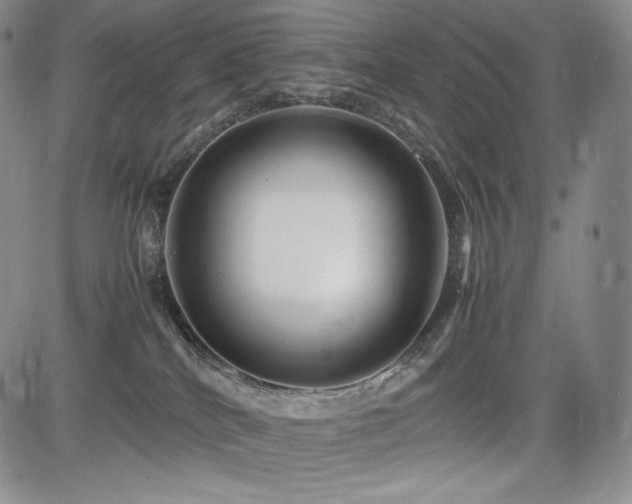 X0000085070040200703051419