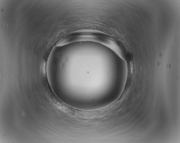 X0000085070041200703051419