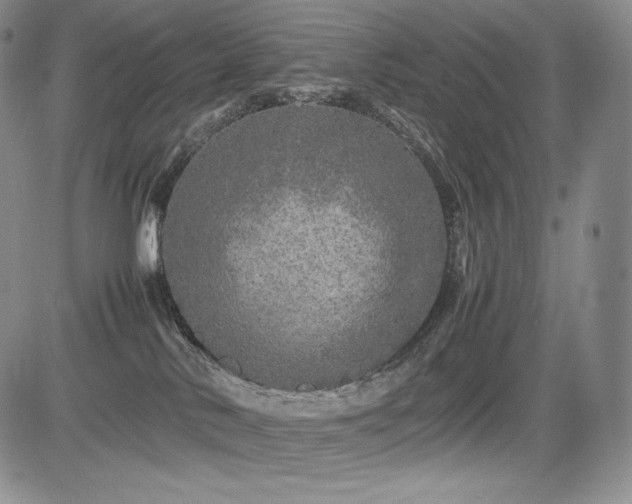 X0000085070042200703051419