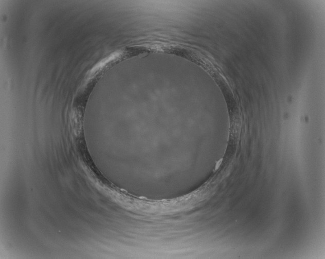 X0000085070043200703051419